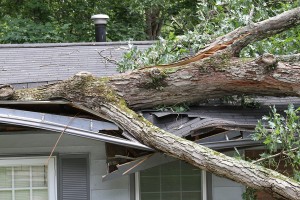 fallen debris on home 